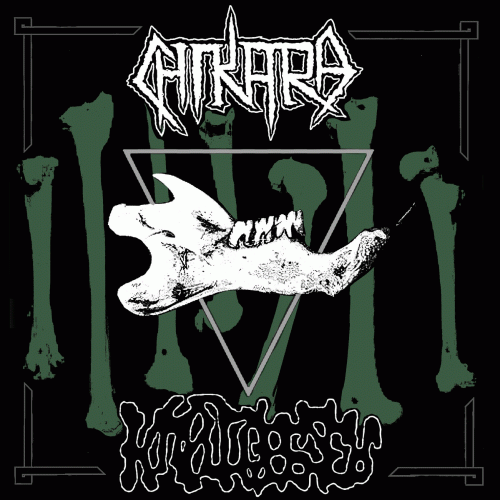 Chikara : Chikara - ​​Rezeegtnuk